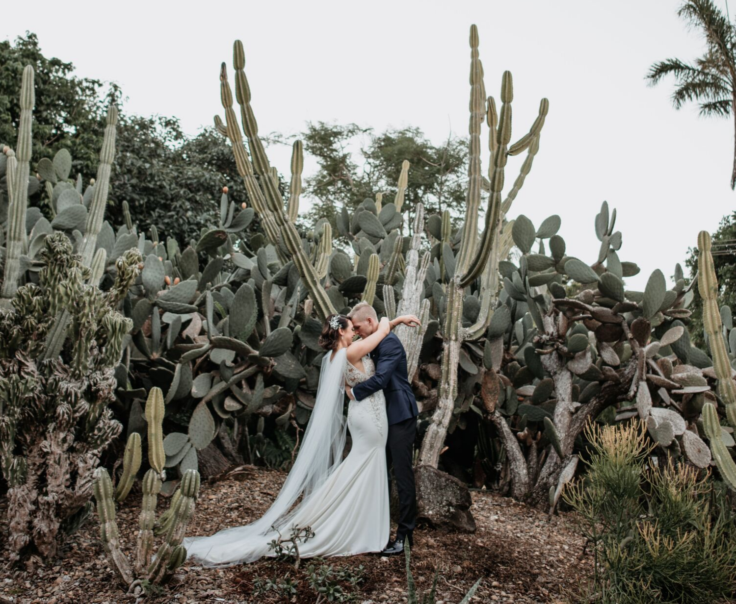 Fins at Plantation House